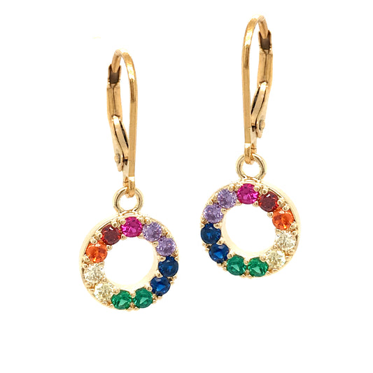 Surgical Steel Rainbow Circle Earrings - HK Jewels