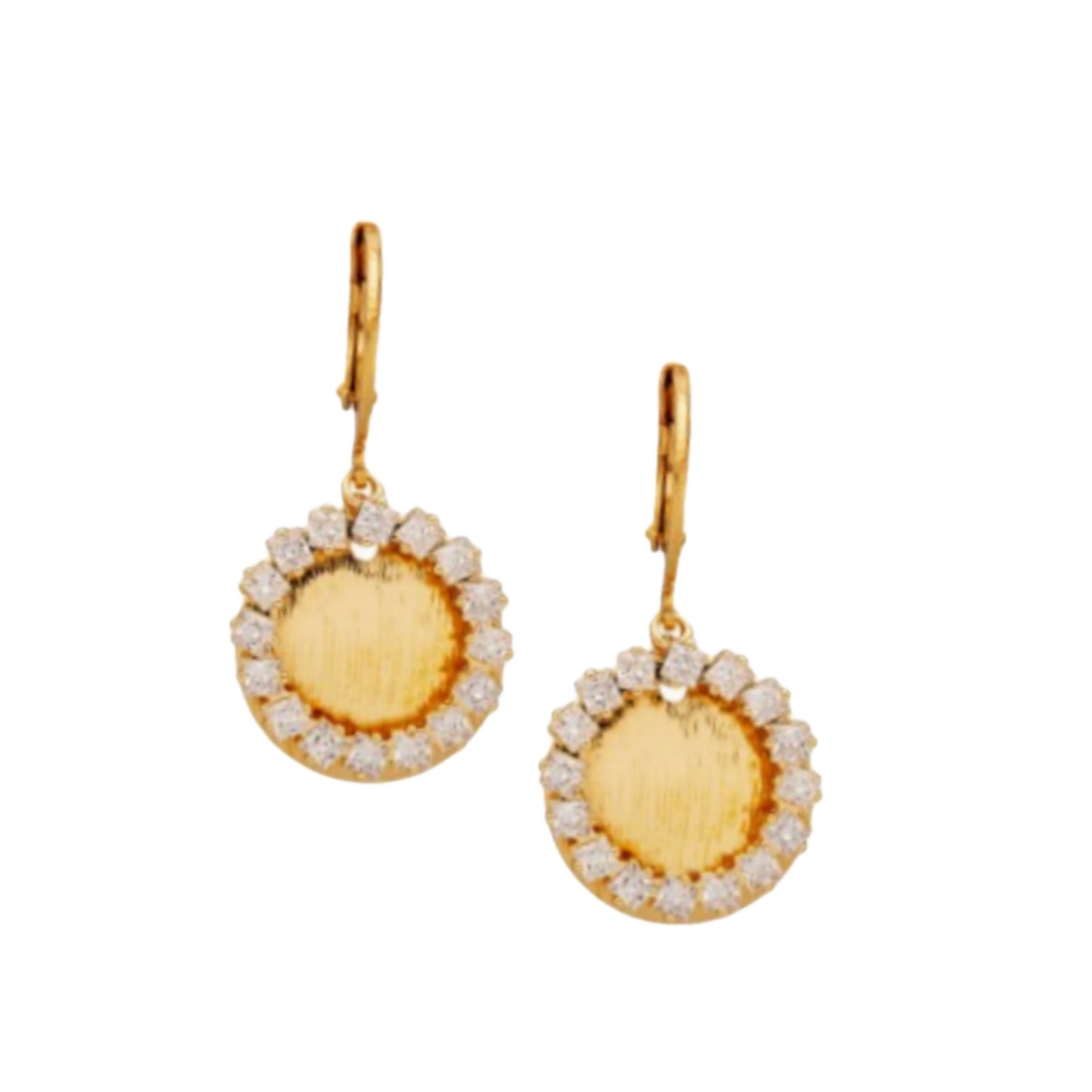 Surgical Steel Open Circle Brushed Gold Plate with Open CZ Circle Earring - HK Jewels