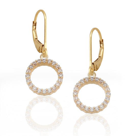 CZ Circle Surgical Steel Earrings - HK Jewels