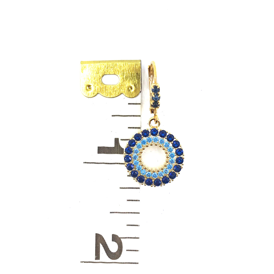 Surgical Steel Blue Bold Outline Circle Earrings - HK Jewels