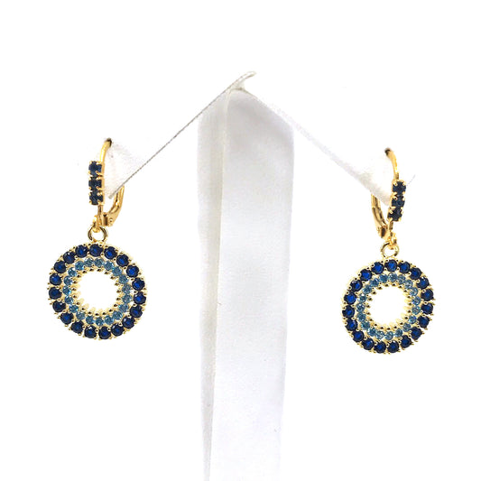 Surgical Steel Blue Bold Outline Circle Earrings - HK Jewels