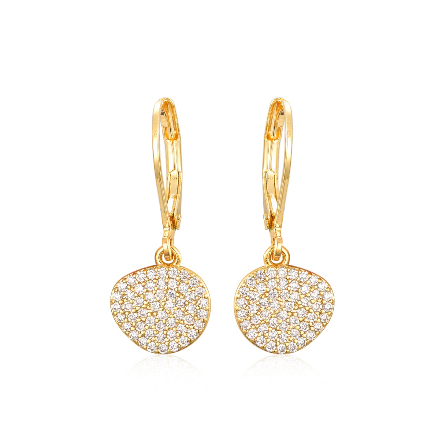 Gold Plated Surgical Steel CZ Natural Shape Earrings