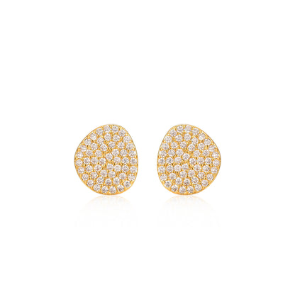 Gold Plated Surgical Steel CZ Natural Shape Earrings