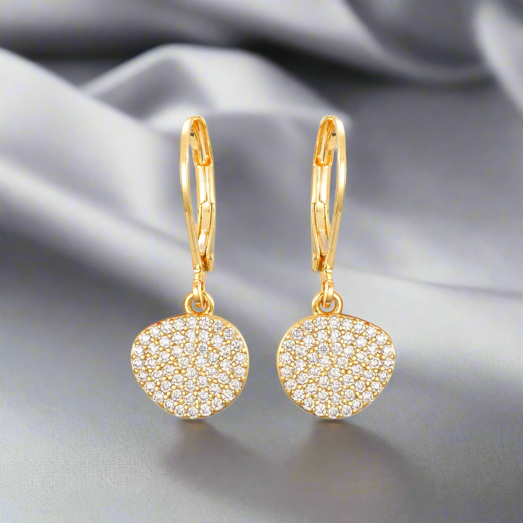 Gold Plated Surgical Steel CZ Natural Shape Earrings