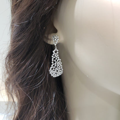 Sterling Silver Sprinkled Diamond Natural Shaped Earrings - HK Jewels