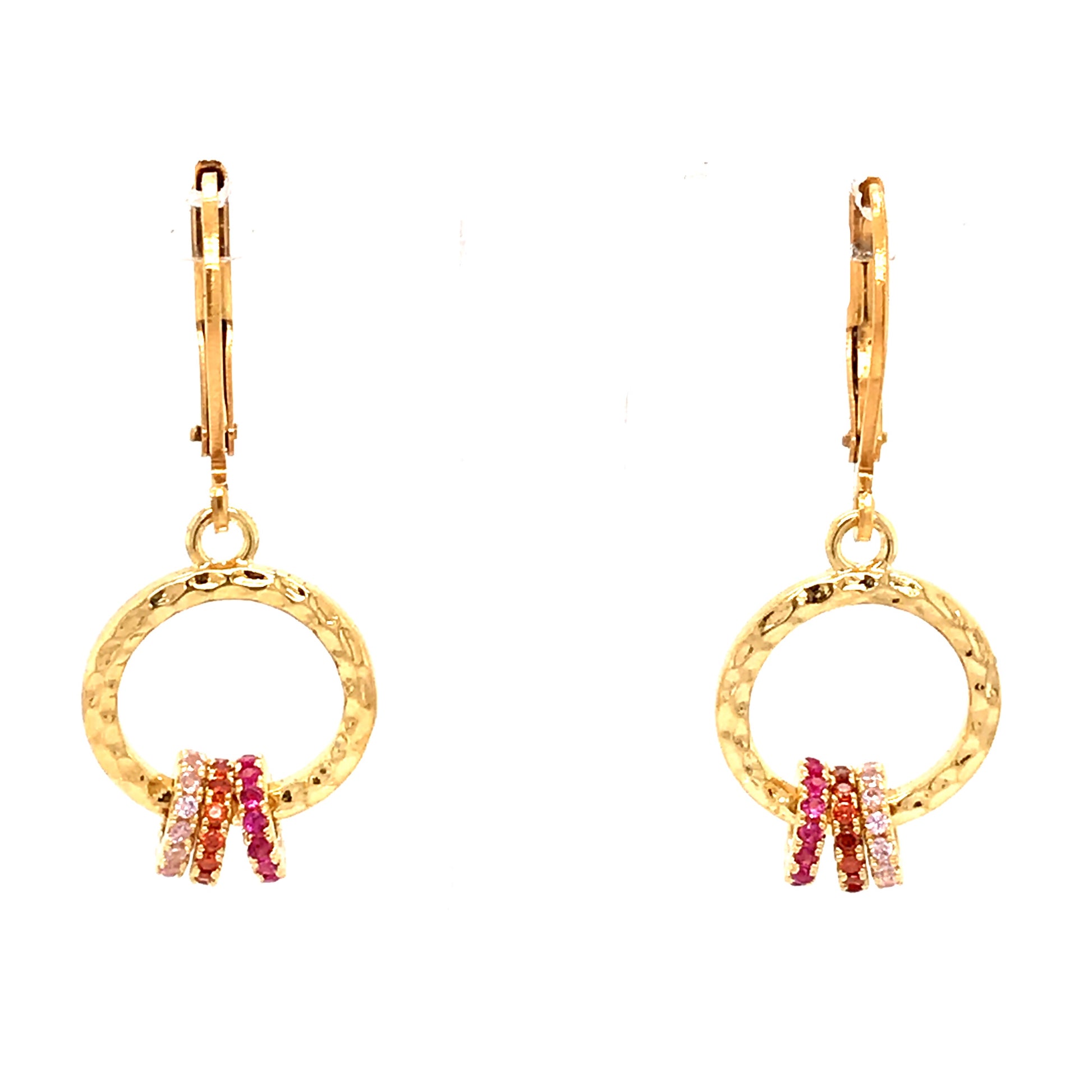 Surgical Steel Circle Earrings - HK Jewels