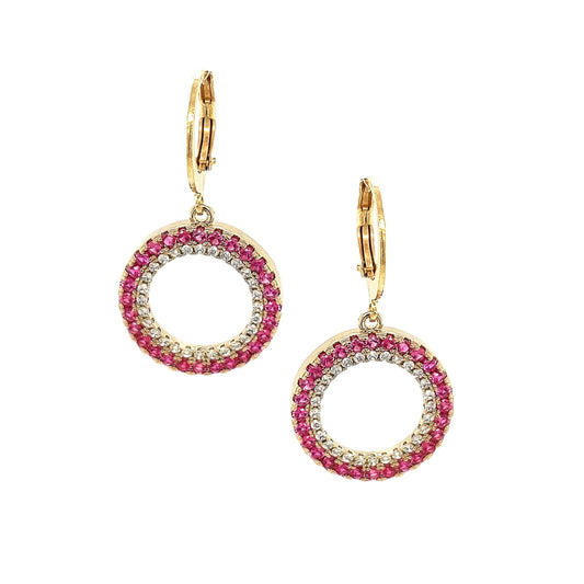 Surgical Steel Circle And Colored CZ Earrings - HK Jewels