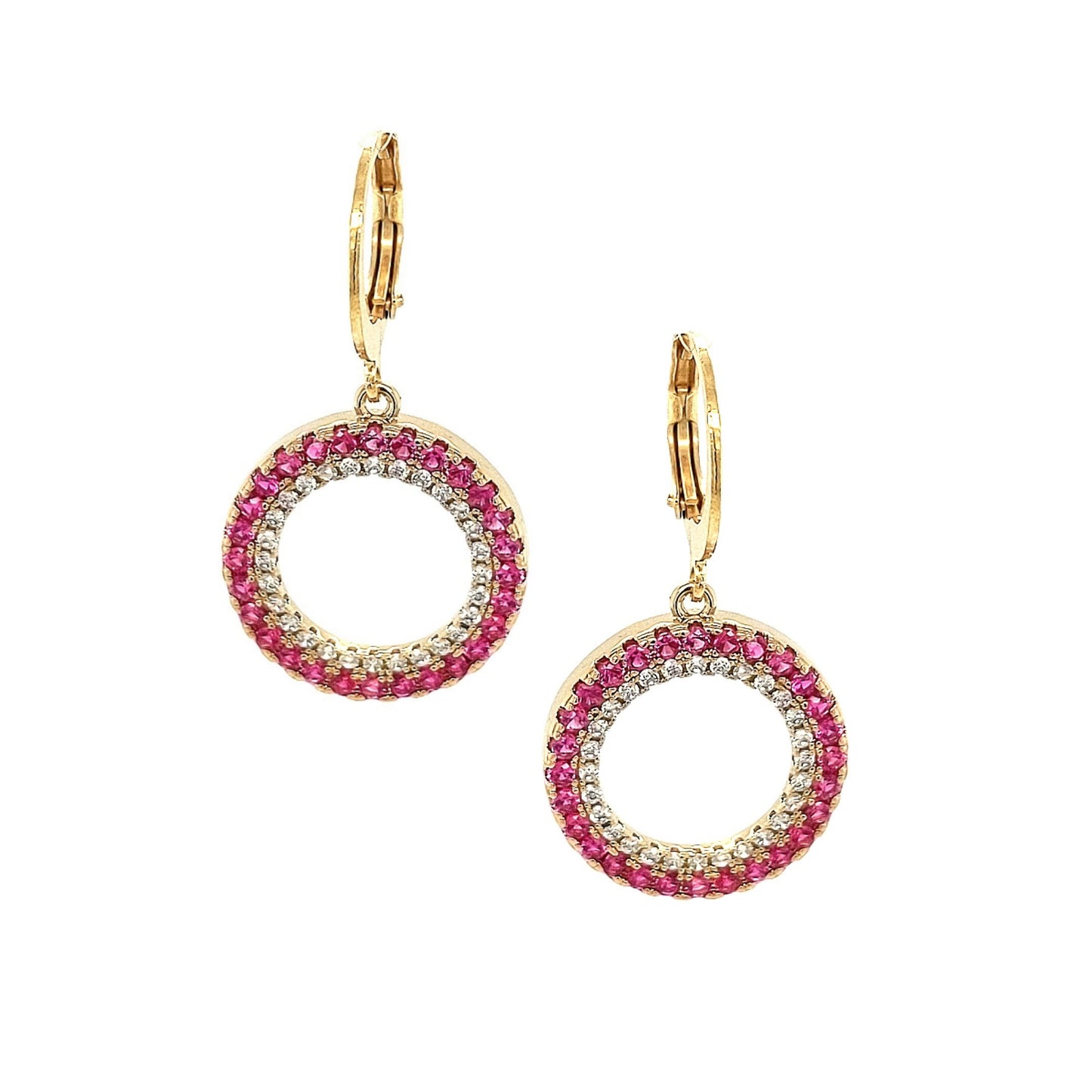 Surgical Steel Circle And Colored CZ Earrings - HK Jewels