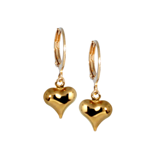 Surgical Steel Puffy Heart Earring - HK Jewels