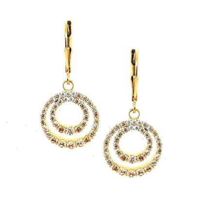 Ombre Circle Earring - HK Jewels