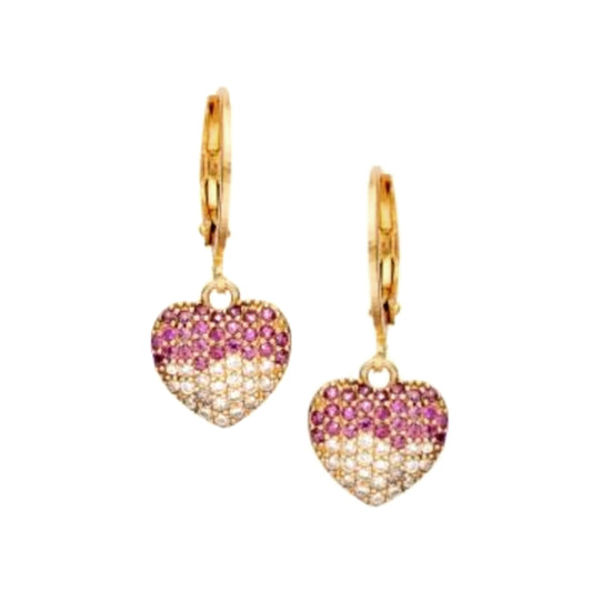 Surgical Steel Puffy CZ Two Tone Earring - HK Jewels