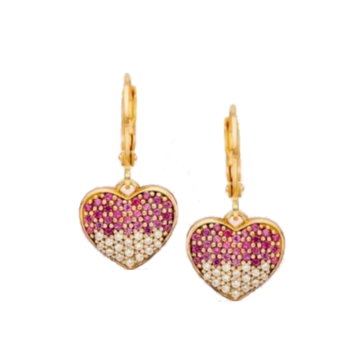 Surgical Steel Puffy CZ Two Tone Earring - HK Jewels