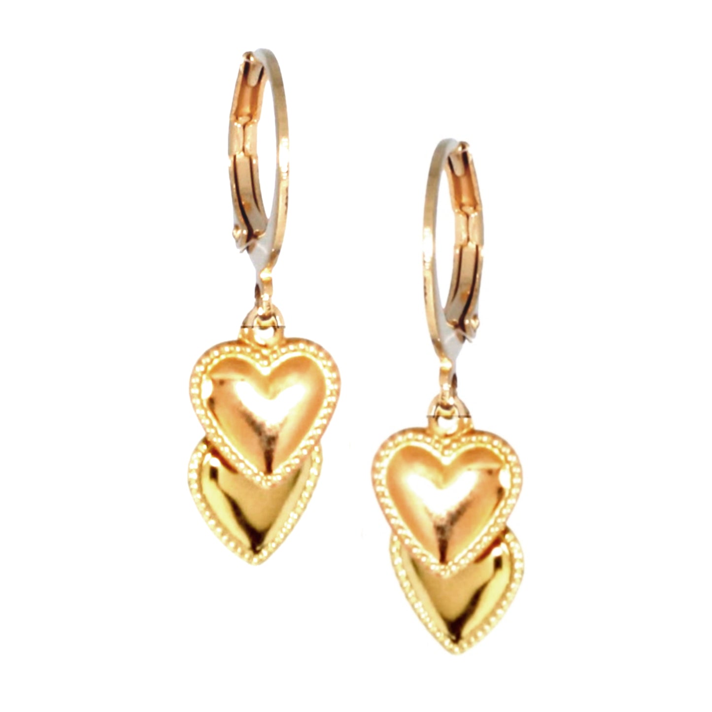 Surgical Steel Double Heart Earring - HK Jewels