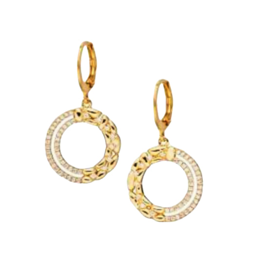 Surgical Steel Open Double Circle with CZ Earring - HK Jewels