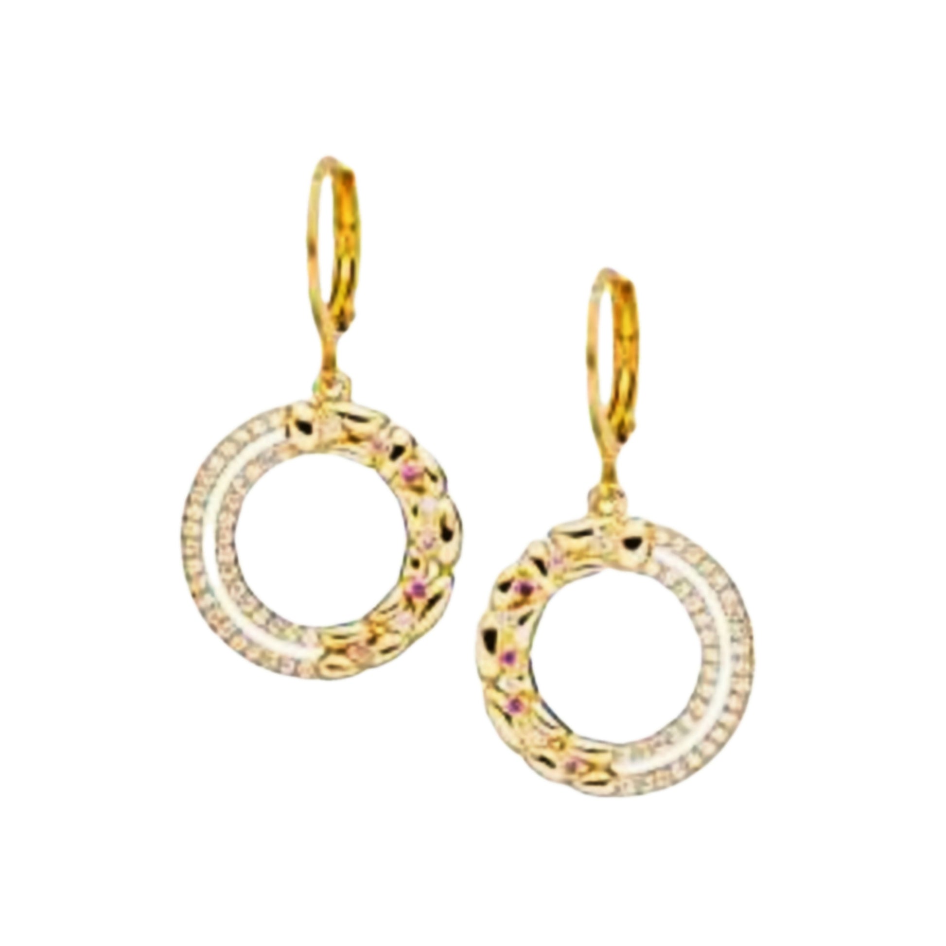 Surgical Steel Open Double Circle with CZ Earring - HK Jewels