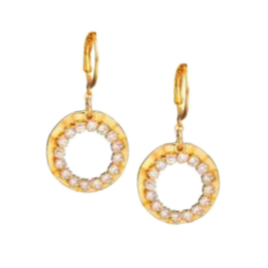 Surgical Steel Open Circle with Open CZ Circle Earring - HK Jewels