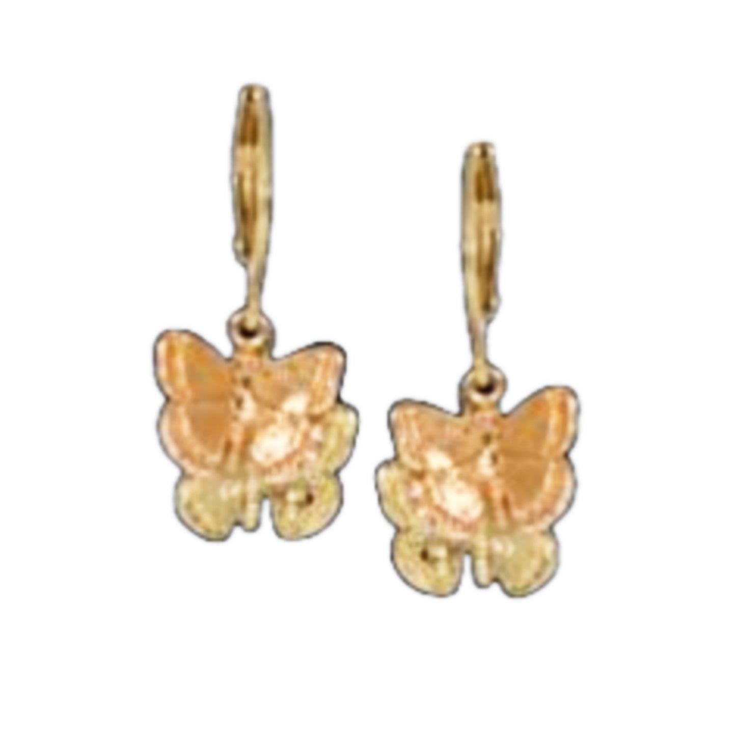 Surgical Steel Double Butterfly Earring - HK Jewels