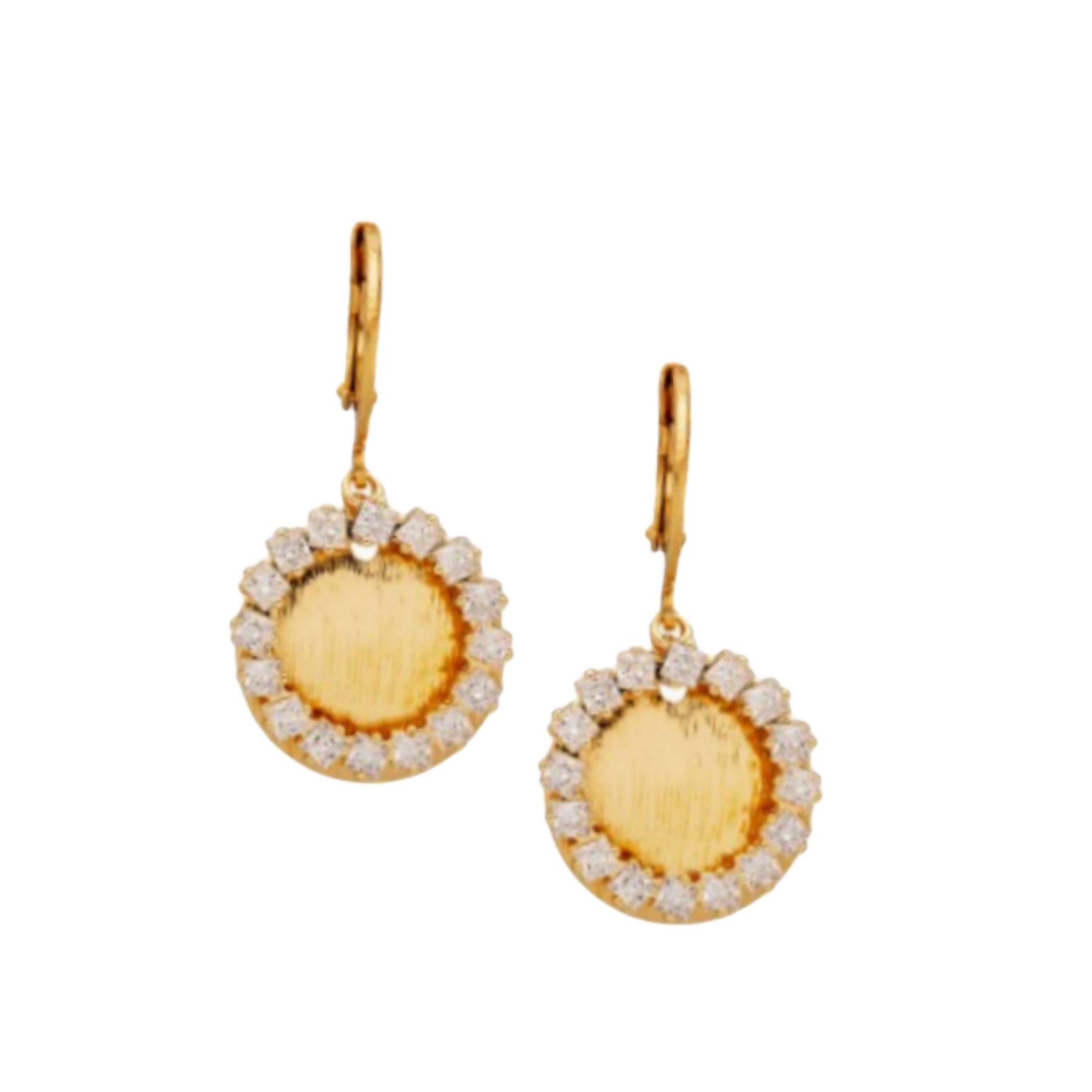 Surgical Steel Open Circle Brushed Gold Plate with Open CZ Circle Earring - HK Jewels