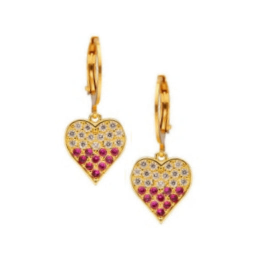 Surgical Steel Two Tone CZ Heart Earring - HK Jewels