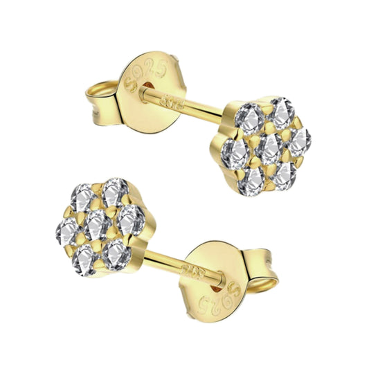 Sterling Silver Seven Stone Stud Earrings - HK Jewels