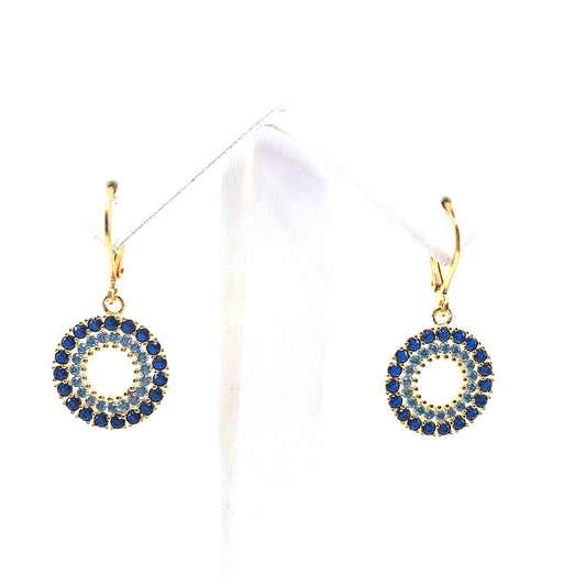 Surgical Steel Blue Bold Outline Circle Earrings - HK Jewels