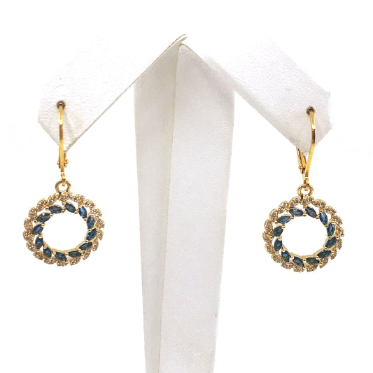 Surgical Steel Blue Circle Earrings - HK Jewels